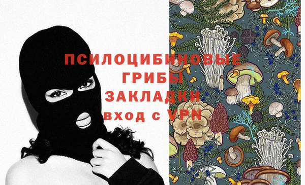 тгк Горняк