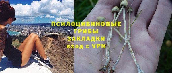 первитин Осташков